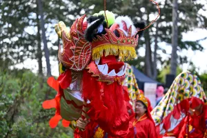 Gallery Image 126